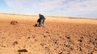 Two dudes save calf stuck in mud risk it all!