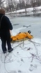 Local fire department rescues dog