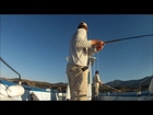 Roussillon Fishing & Dyckers Tuna blue fine on da fly