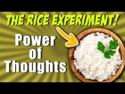 The Rice Experiment | Your THOUGHTS WILL CHANGE REALITY