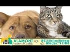 Alamont Veterinary Clinic Video | Veterinary Clinic in Wharton