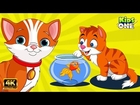 Billi Rani | बिल्ली रानी | बालगीत | 4K HINDI Rhymes For Children | KidsOneHindi