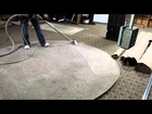 Hydro-Force Nautilus MX500H Cleaning An Area Rug Soiled With Food And Oil Dressing