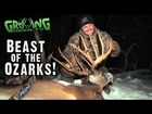 Bow Hunting Whitetails: 181
