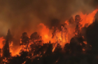 Wildfire Rages Near Yosemite National Park