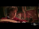 Harry Potter and the Stoned Philosopher (YTP)