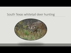 whitetail deer hunting ranch