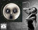 Steven Wilson - The Raven that Refused to Sing (2013) (full Album)