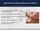 Importance of Brazil Sourcing