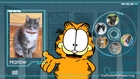 Garfield Says Adopt!