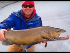 Ice Fishing Monster Brown Trout & Steelhead
